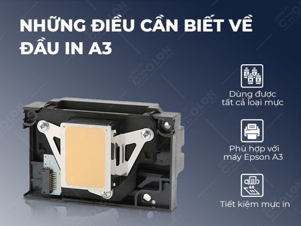 Đầu in máy in màu Epson A3