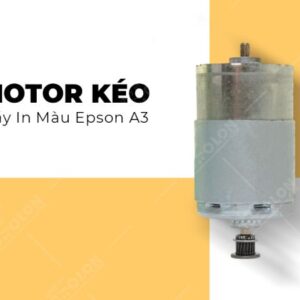 Motor kéo máy in máu Epson A3